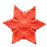 Starsi Vibrator